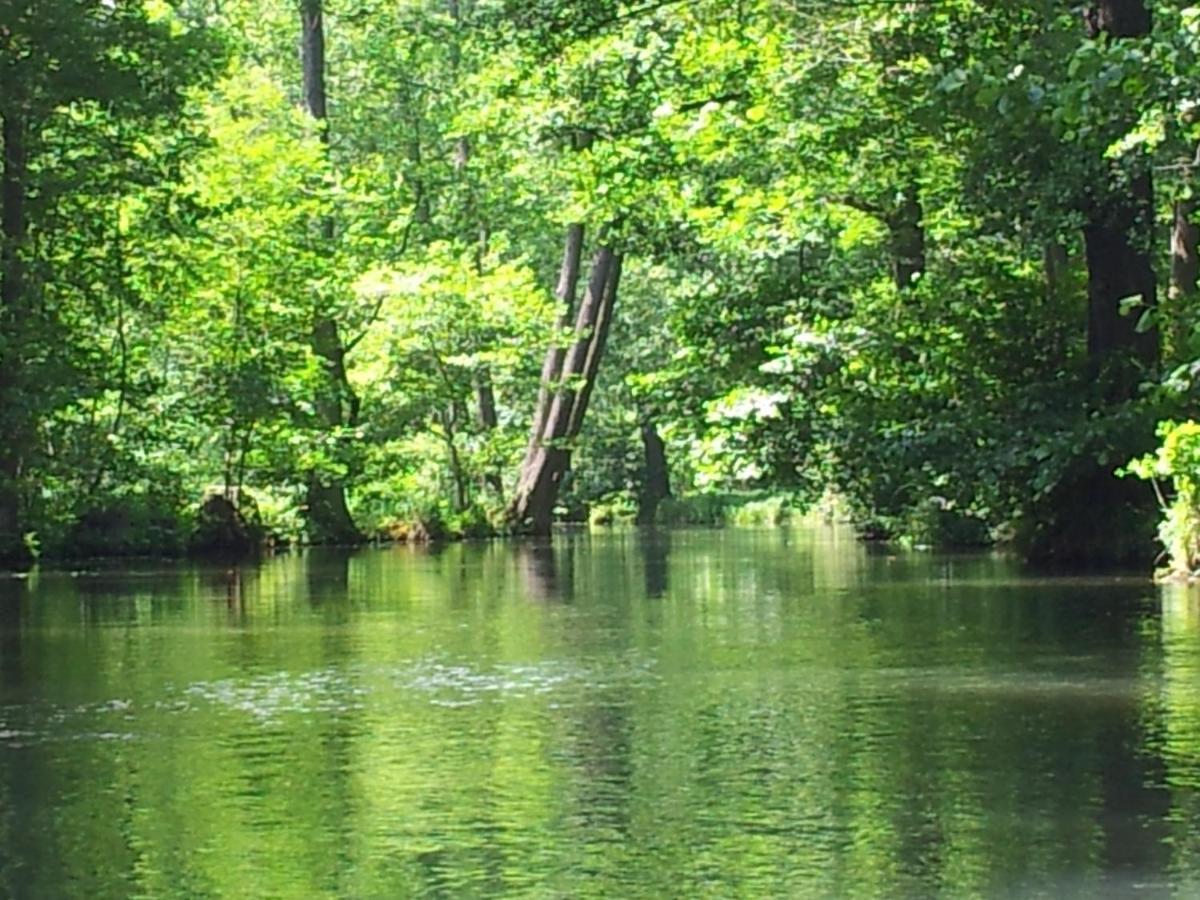 Doppelzimmer Im Spreewald Burg im Spreewald Eksteriør billede