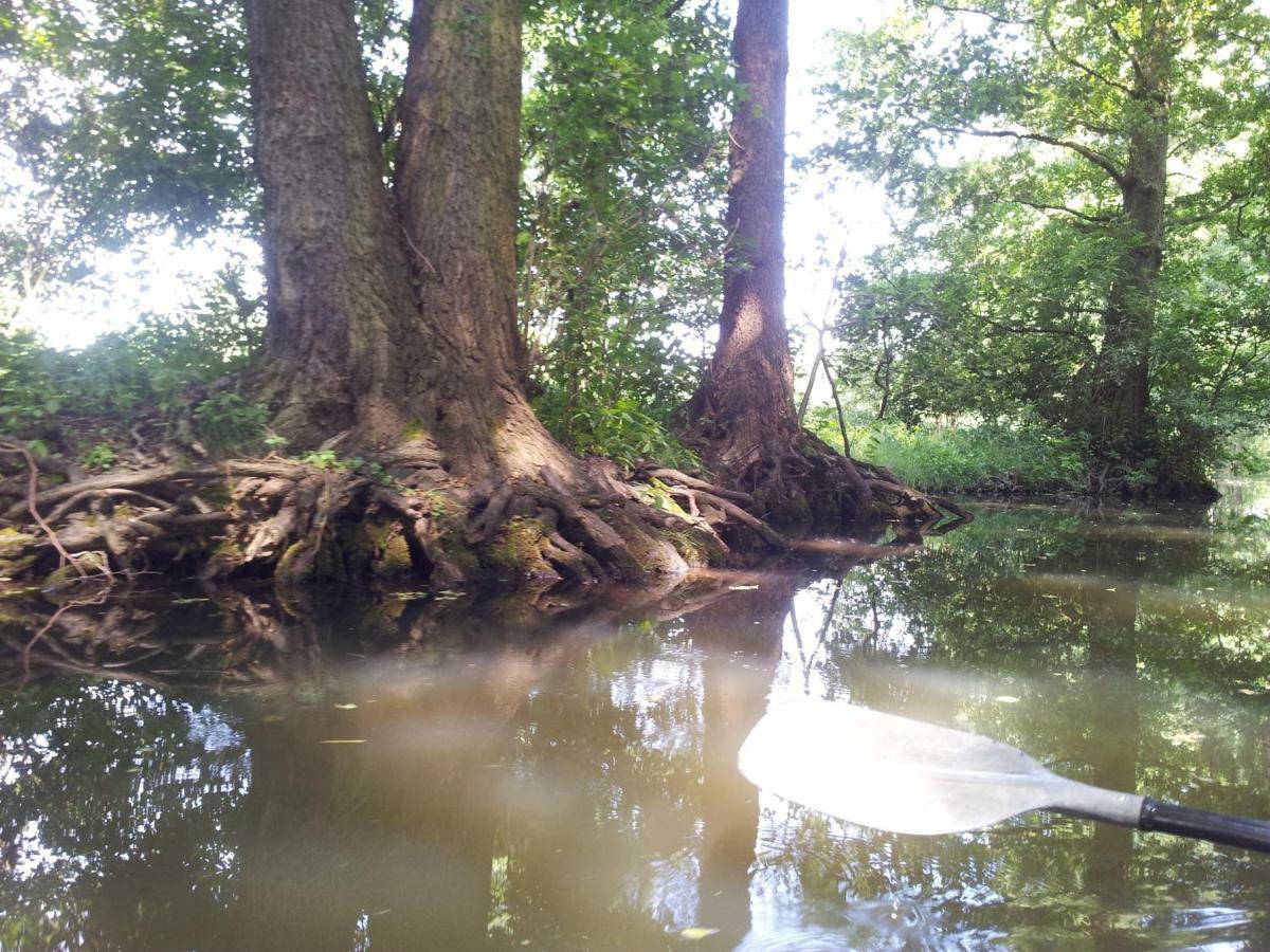 Doppelzimmer Im Spreewald Burg im Spreewald Eksteriør billede