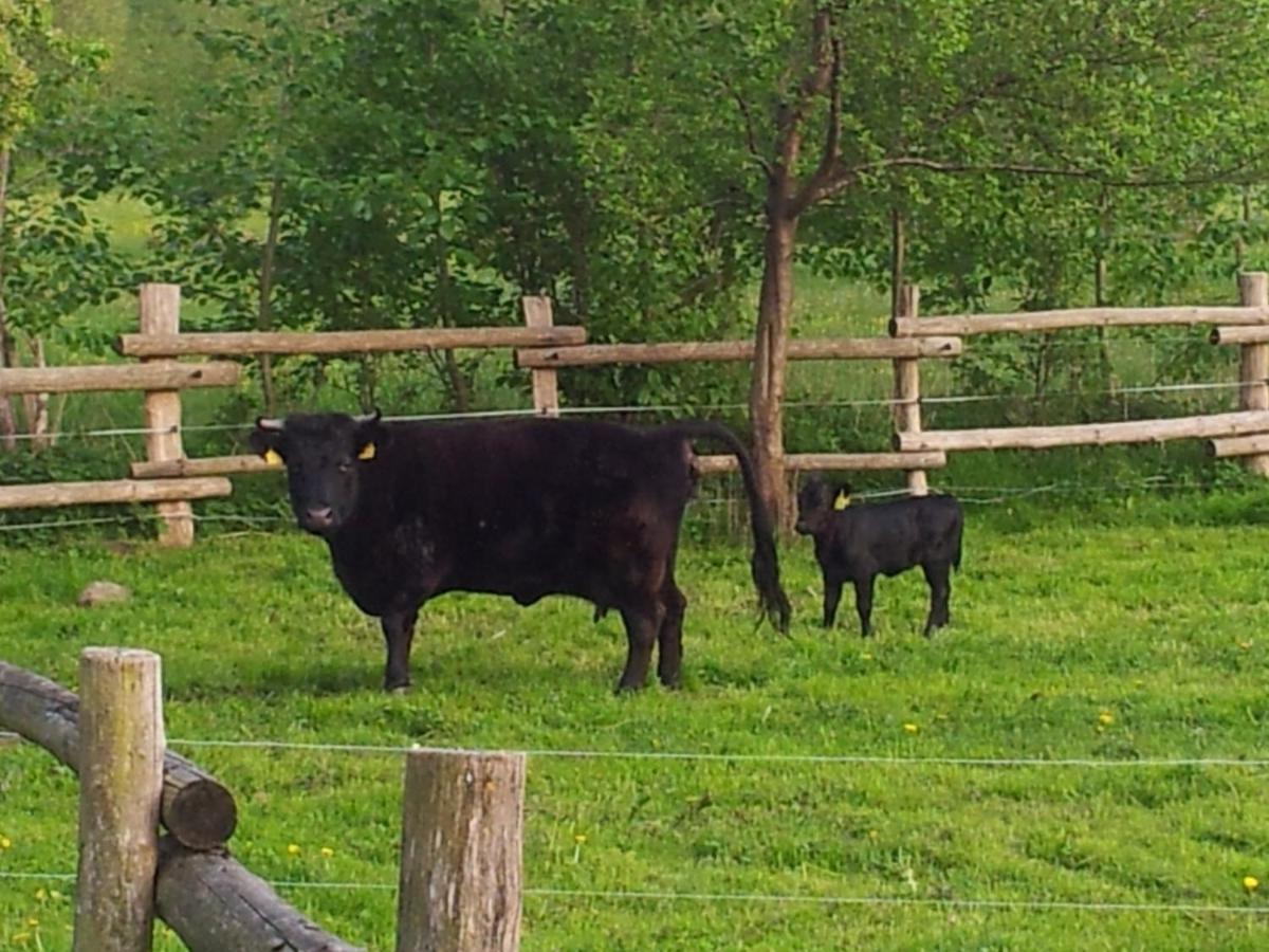 Doppelzimmer Im Spreewald Burg im Spreewald Eksteriør billede